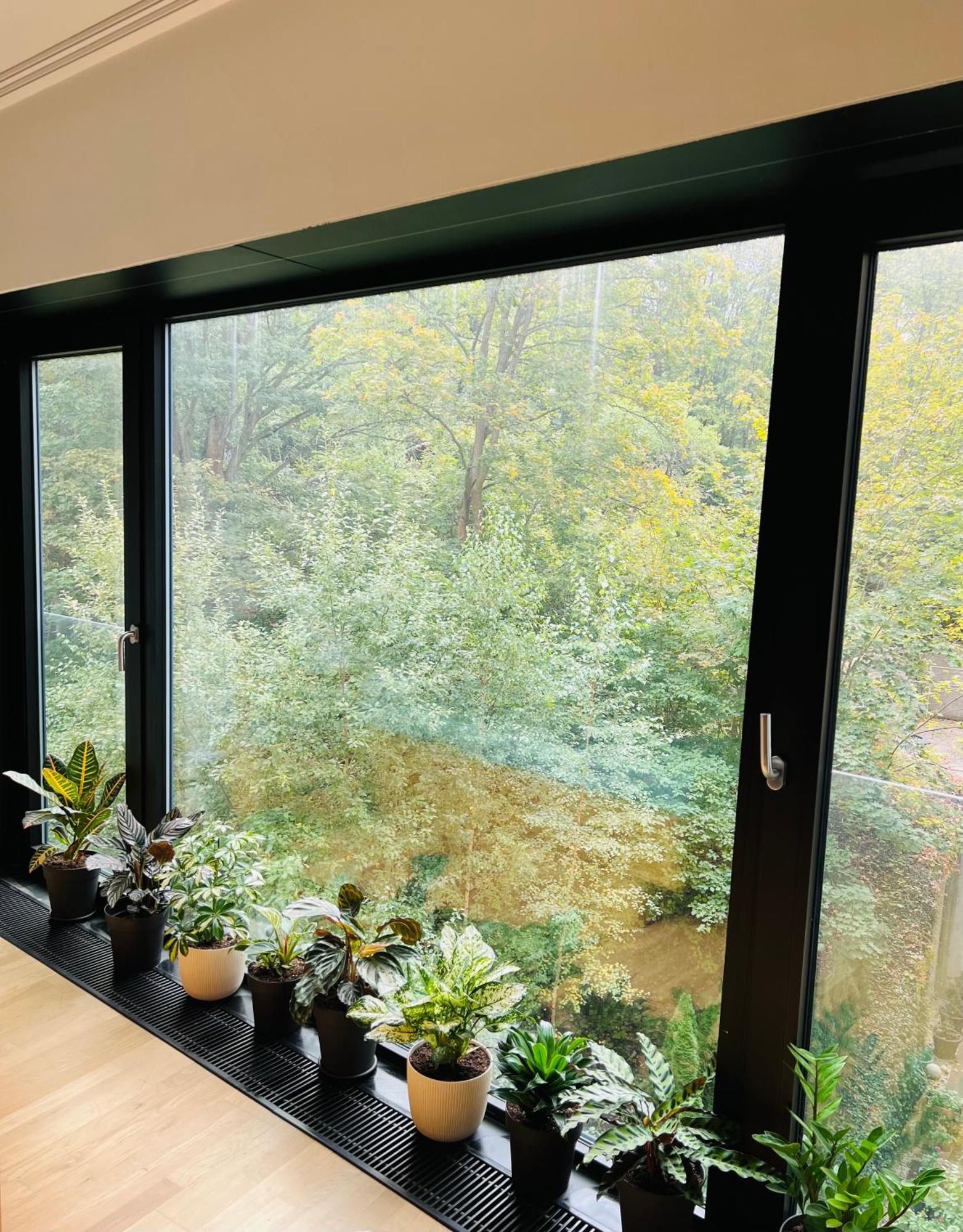 Apartamento Artflora Kv Premium Karlovy Vary Exterior foto